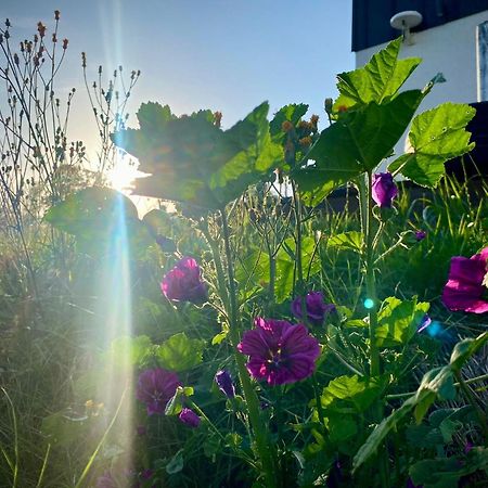 Domki Blisko Nieba III Visla Exteriér fotografie