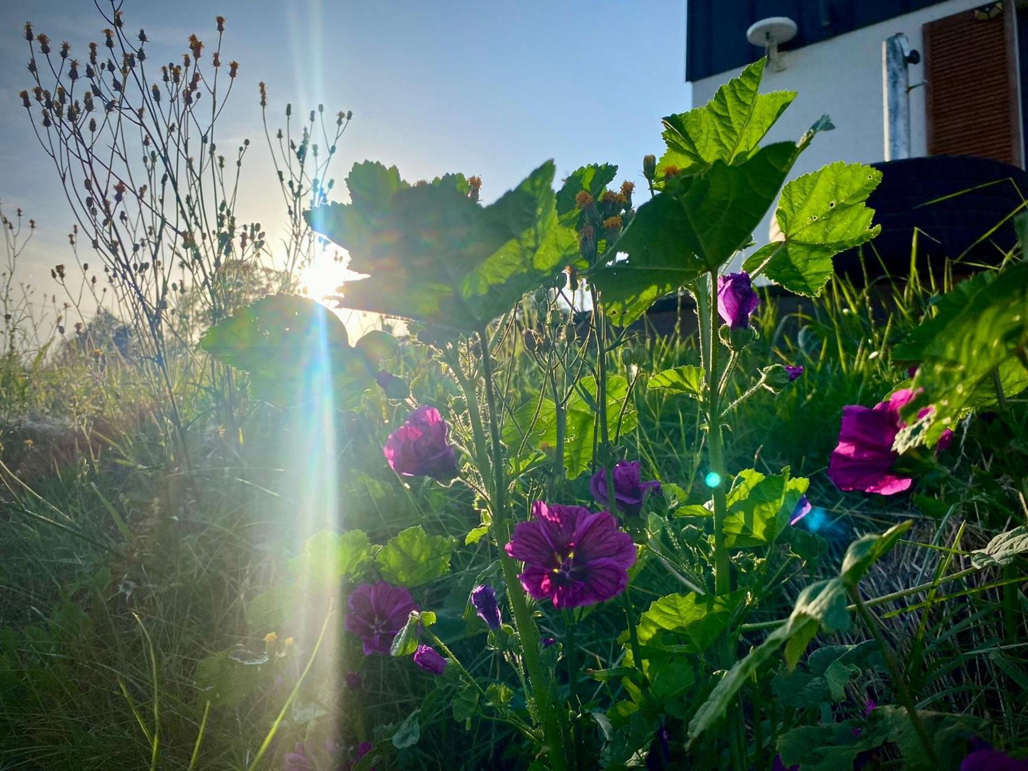 Domki Blisko Nieba III Visla Exteriér fotografie
